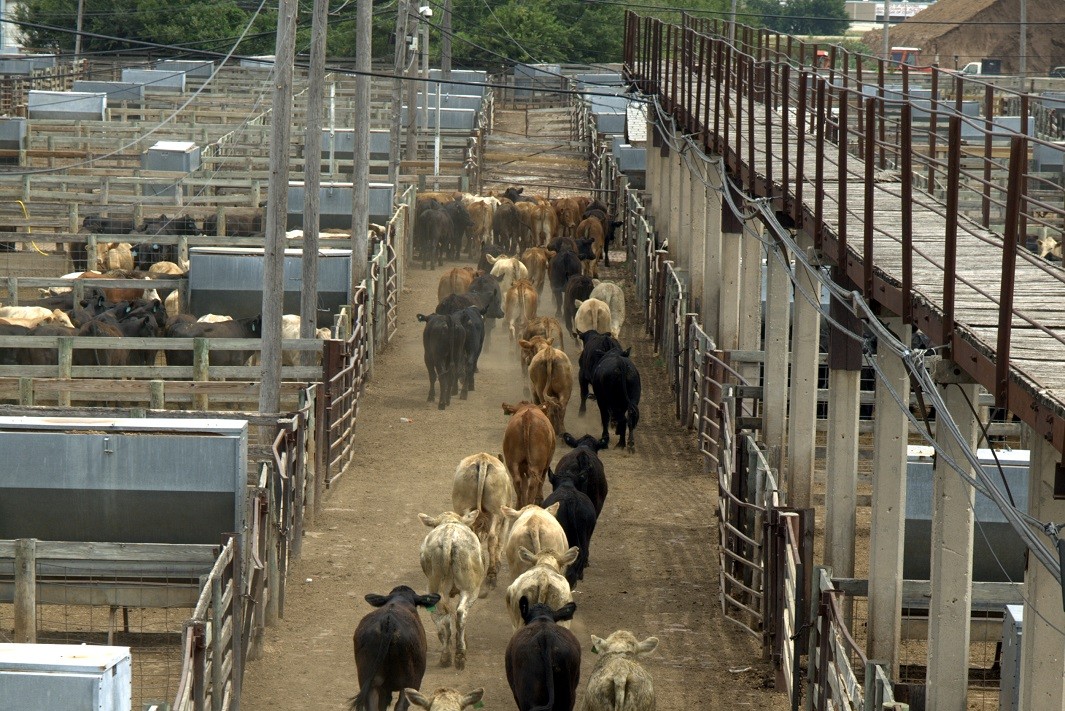 {home_ads_description}